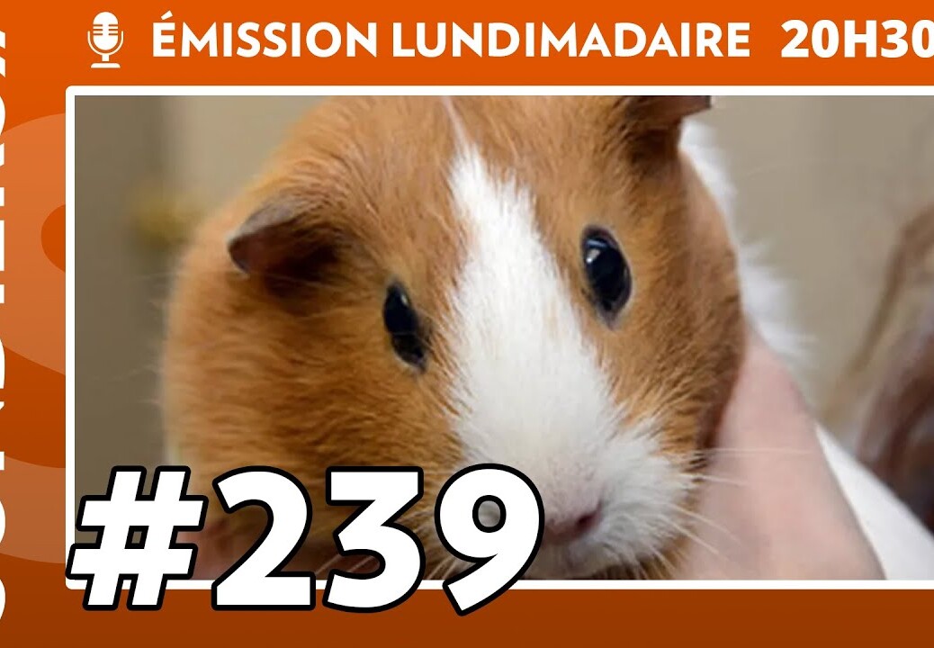 Emission live #239 – La musique compressée fatiguerait les cochons d’Inde