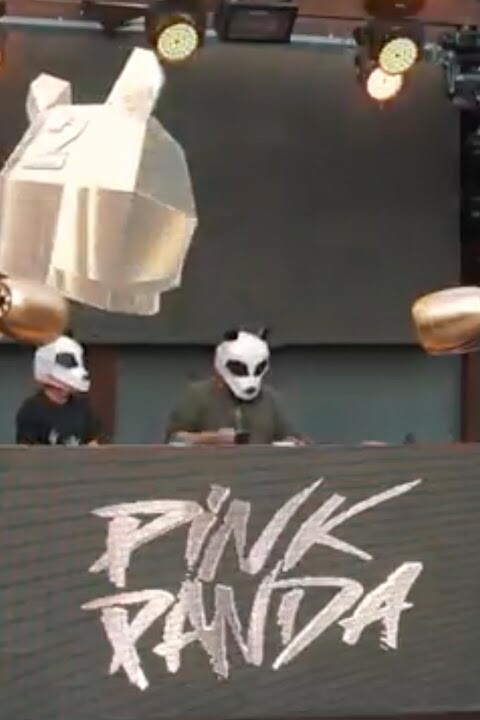 Pink Panda live for the #Top100DJs Virtual Festival, in aid of Unicef