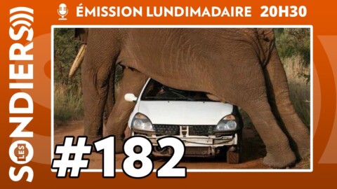 Emission live #182 – Ils ont passé de superbes vacances