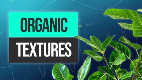Organic House Tutorial: Writing Foley Textures & Organic Grooves | Ableton Live