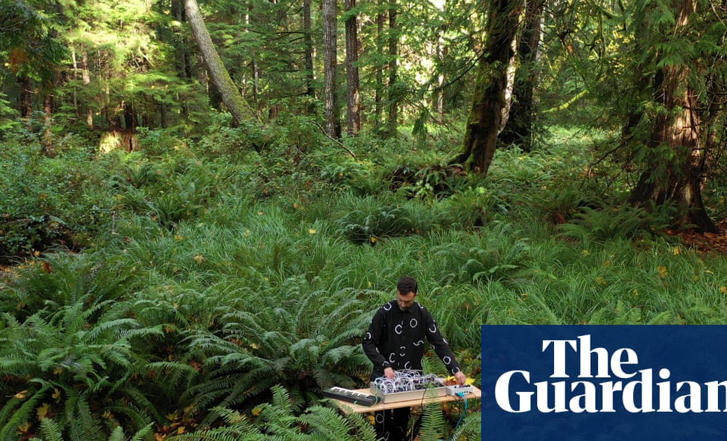 Button pushers: the artists making music from mushrooms – The Guardian