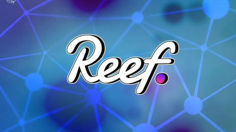 Reef launches NFT team focused on graffiti and electronic music artists – Cointelegraph
