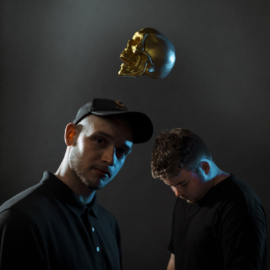 DROELOE Drops "Roadside Flowers" Ahead of Forthcoming Anthology Album – EDM.com