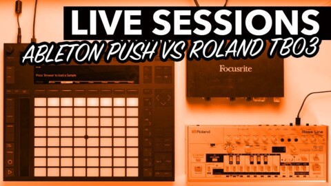 Ableton Push vs Roland TB03 | Live Sessions Episode 3