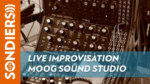 LIVE IMPROVISATION / MOOG SOUND STUDIO
