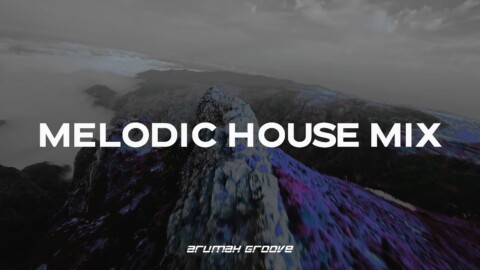 MELODIC HOUSE MIX 2022 / Remixes of Popular Songs ? [KREAM, David Guetta, CamelPhat, Artbat]